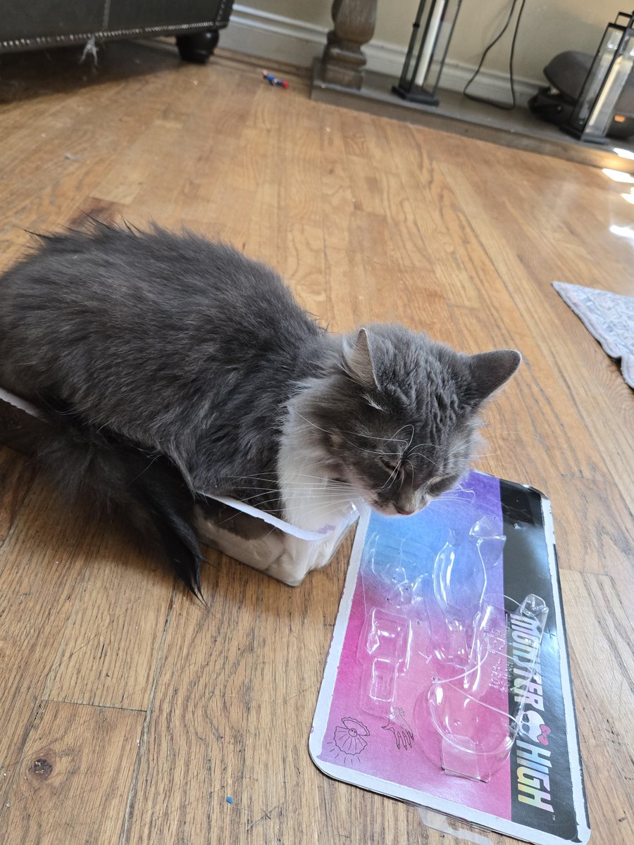 Mew Mew Mint tweet media