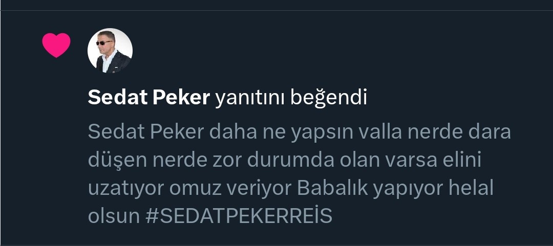 Masmavi Follow tweet media