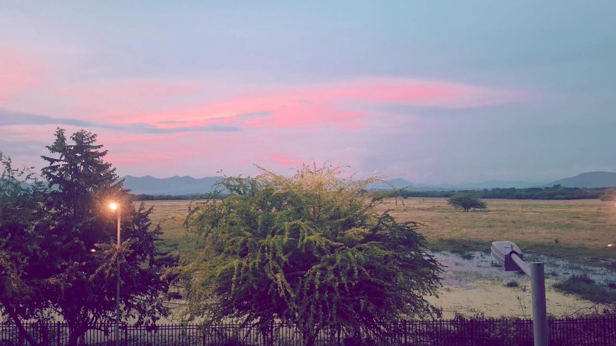 Iván Aranega 🇪🇸 tweet media