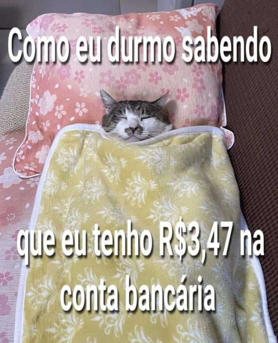 Shitpost só que de verdade tweet media