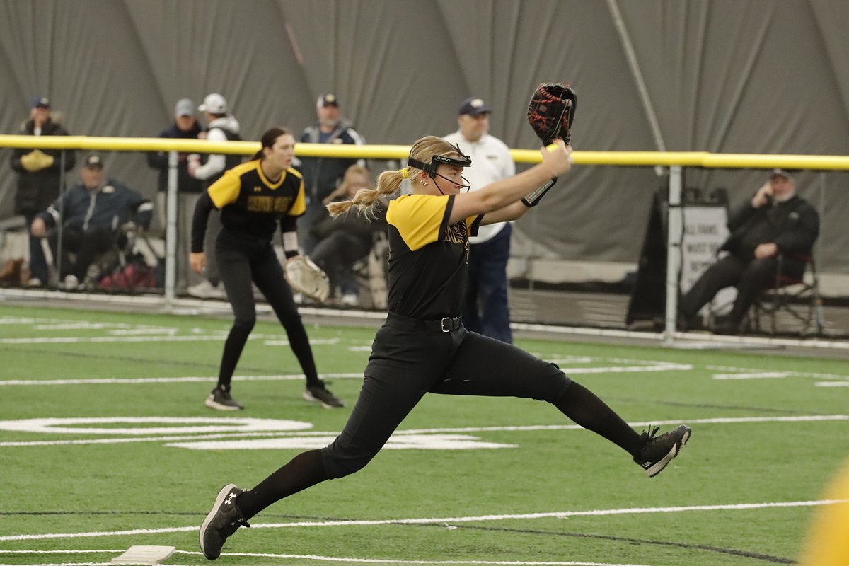 Wayne State Wildcats tweet media