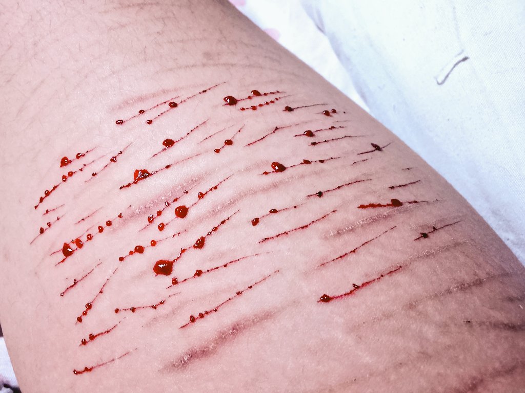 𝜗 ‎ ‎‎mari ‎ ‎‎‎ ‎◟ ‎ ‎‎aya oosawa of shedtwt tweet media