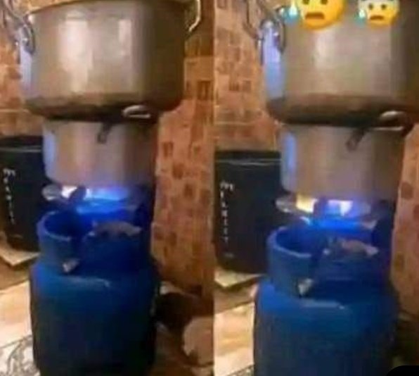 TOIS🌴 tweet media