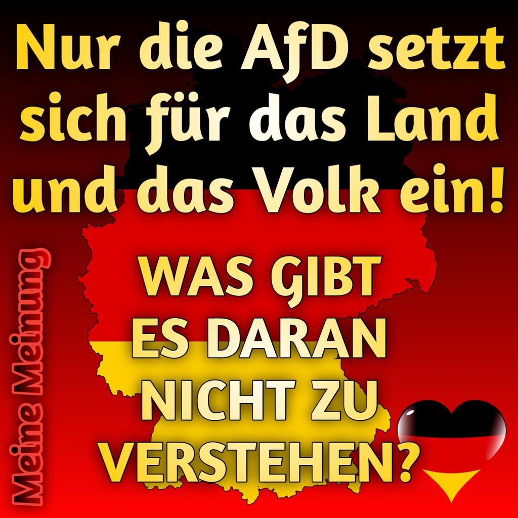 Josef Heigl 🇩🇪 tweet media