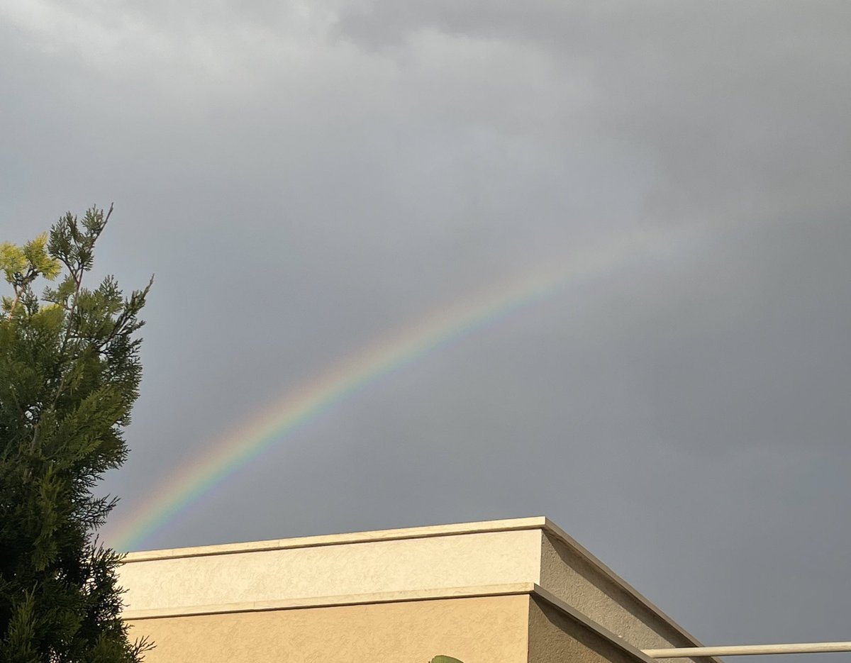 𝐴𝑛𝑔𝑒𝑙✤ tweet media