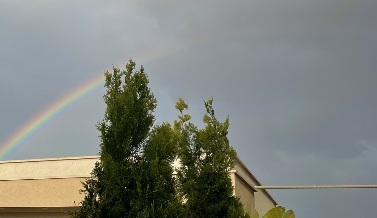 𝐴𝑛𝑔𝑒𝑙✤ tweet media