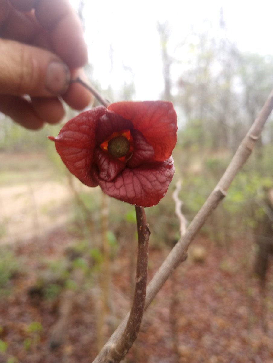 Farm Boy tweet media