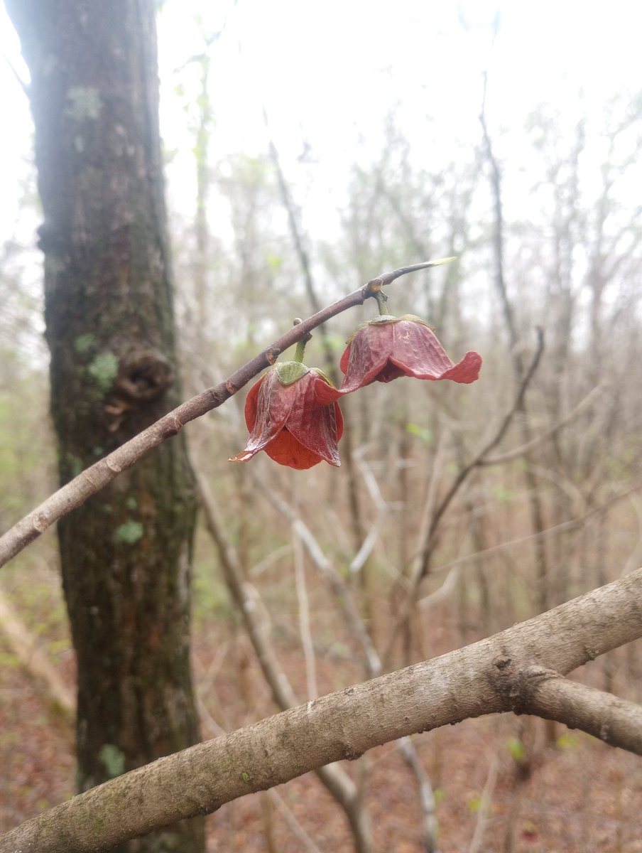 Farm Boy tweet media