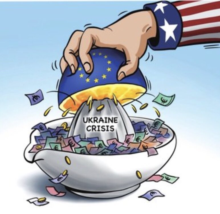 NéoDiss 🇫🇷 tweet media