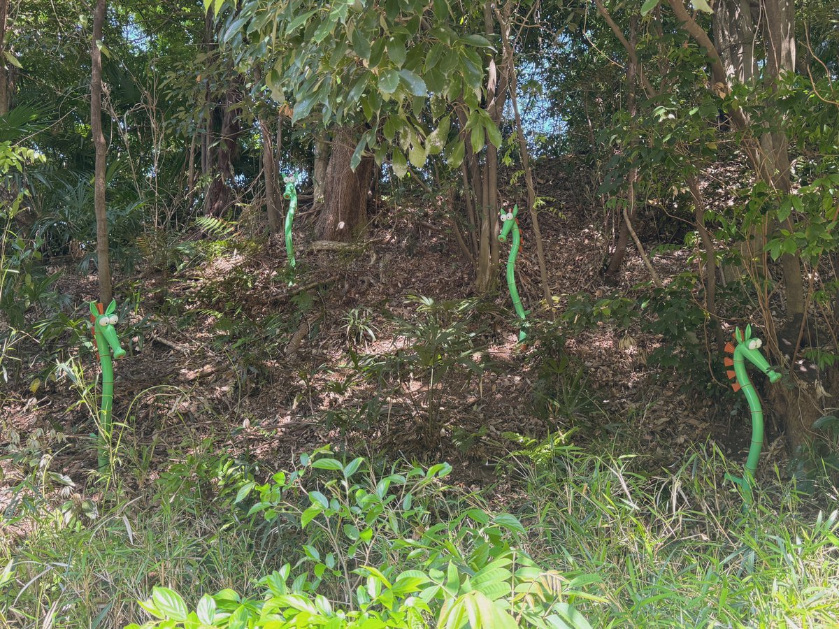 ビリあま@複垢 tweet media