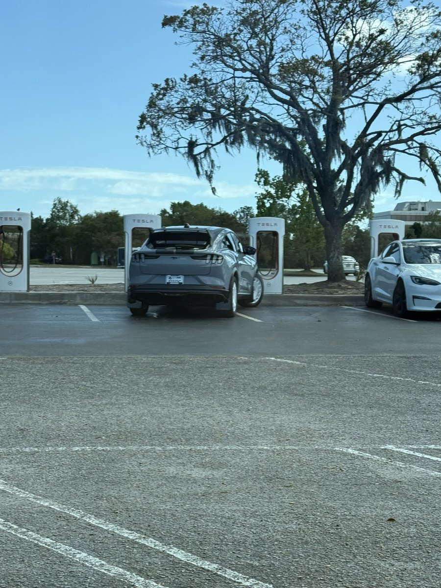 Tactical Investing tweet media