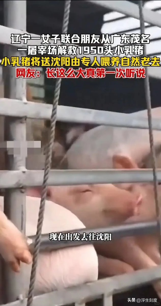 颜克权 tweet media