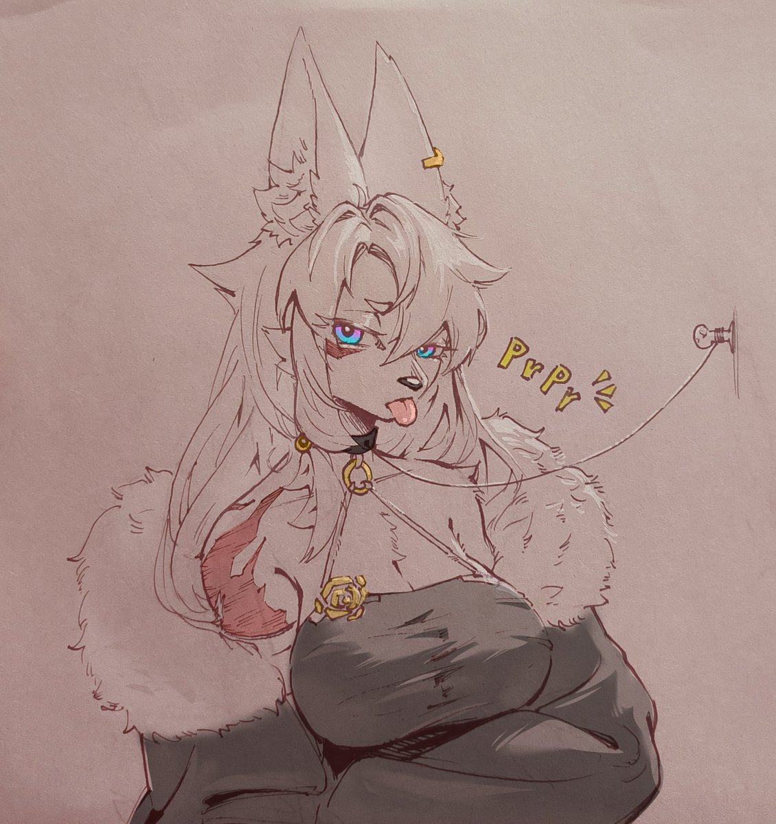 DX白鹿 tweet media