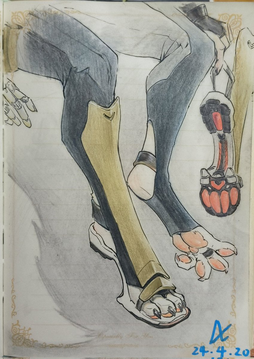 DX白鹿 tweet media