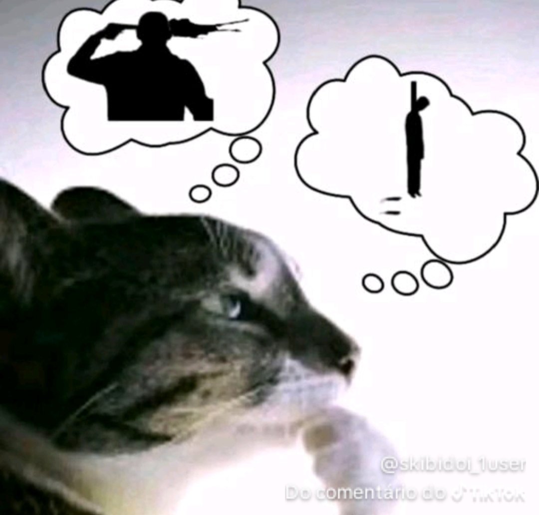 ♠️Caio♠️ tweet media