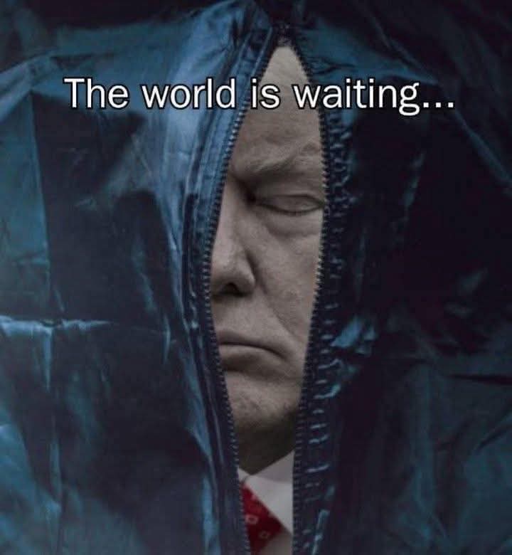 Nᵢ𝓴𝓴ᵢ Mₐᵣᵢ𝚗 💎 LGB✂️TQ #ThisIsNotaDrill 🚫Trump tweet media