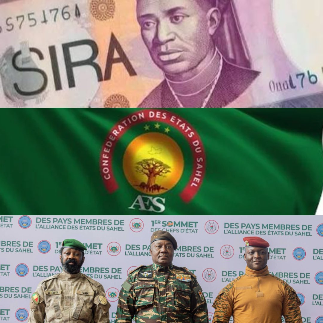 WithoutHistory tweet media