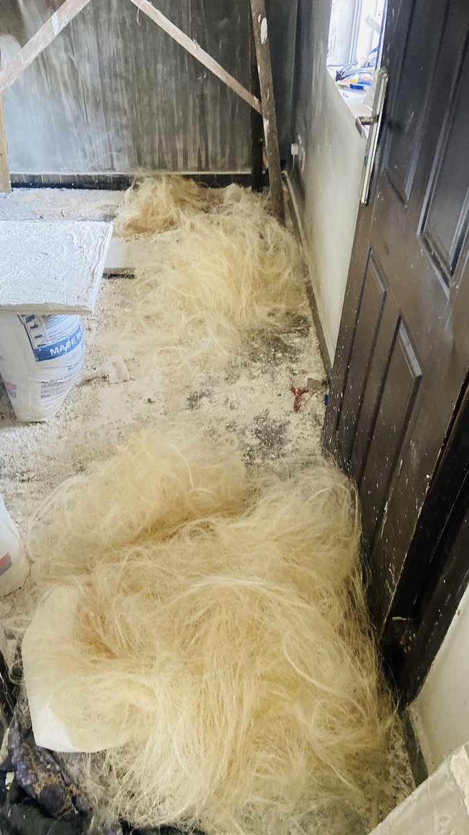 Queen Ella☢️✂️❤️ tweet media