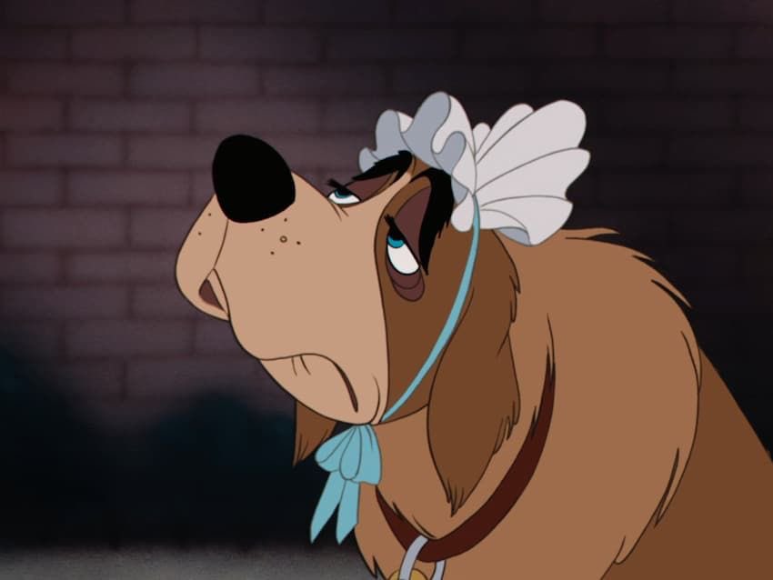 velouria tweet media