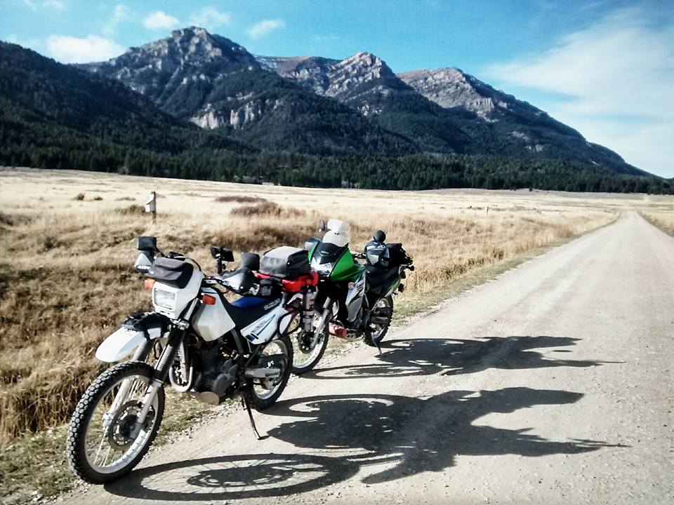 Psychedelic Relic 🇺🇸 🇺🇸 🇺🇸 tweet media