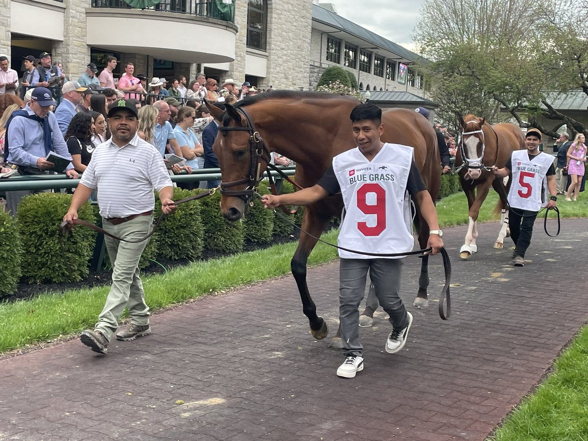 DRFRusso's tweet image. Ottinho, half to the great Gun Runner, was third in the Withers. #Ky Derby #Keeneland