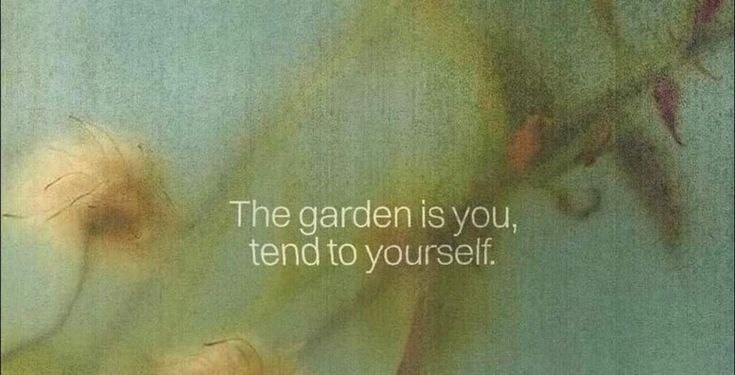 untitled folder tweet media