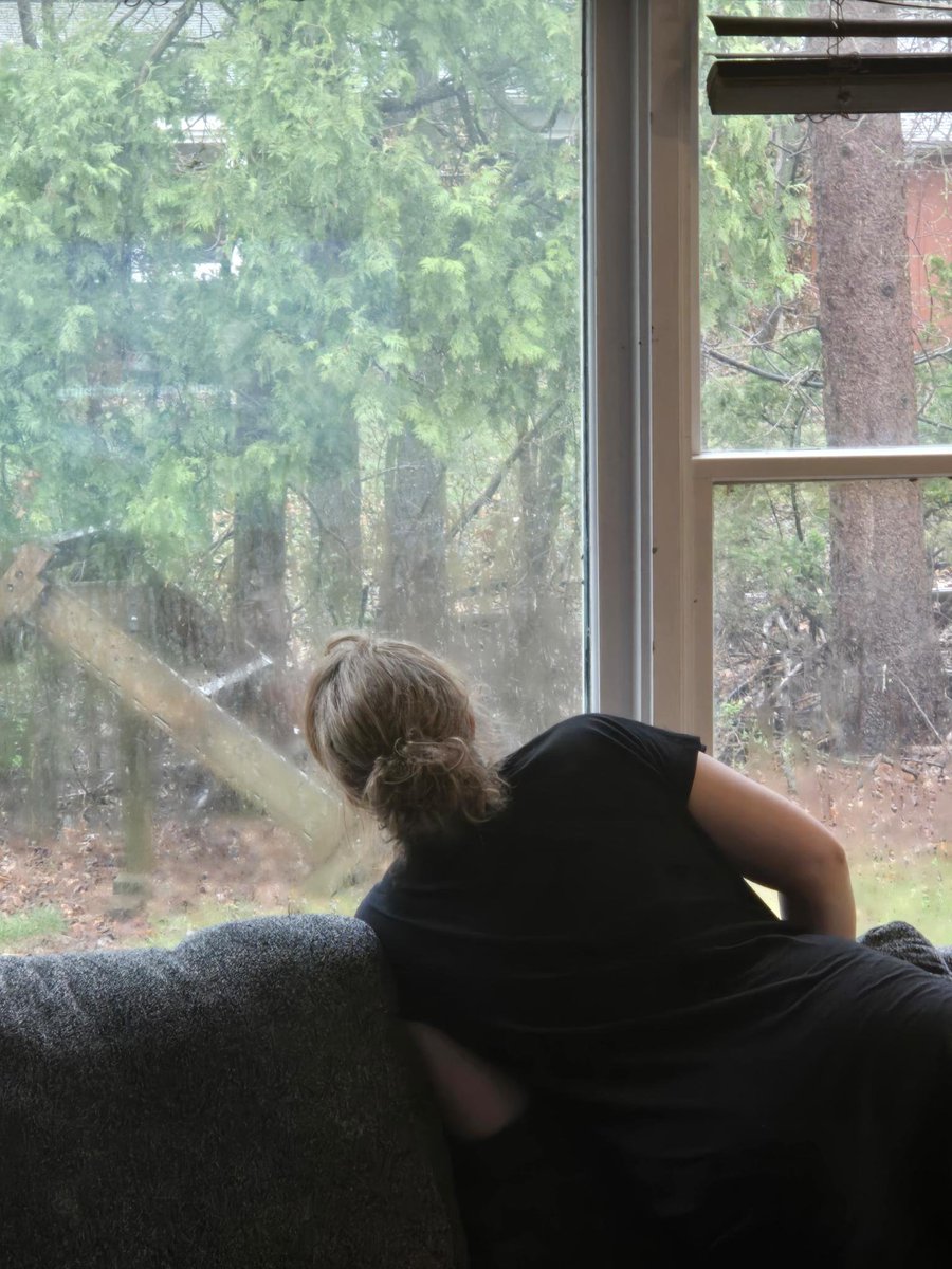 Mack's Cats tweet media