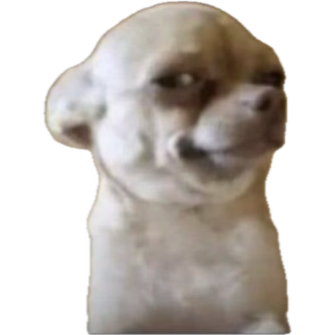 Adusi~Poku🕊️ tweet media