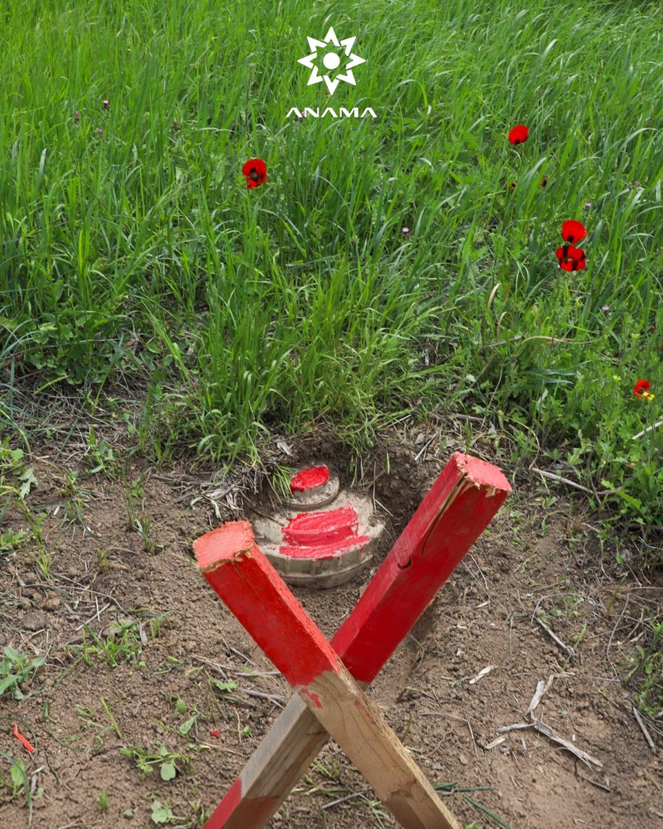 utgdib's tweet photo. Təbiət gözəldir, amma hər gözəlliyin arxasında həyatı ani dəyişdirən təhlükə gizlidir. Özünüzü qorumaq üçün yalnız icazə verilmiş və təmizlənmiş sahələrdə hərəkət edin. 

#ANAMA #MineAction #MineAwareness #MineAwarenessDay #SayNoToLandmines #LandmineFree #Azerbaijan https://t.co/JRxPmzrLZa