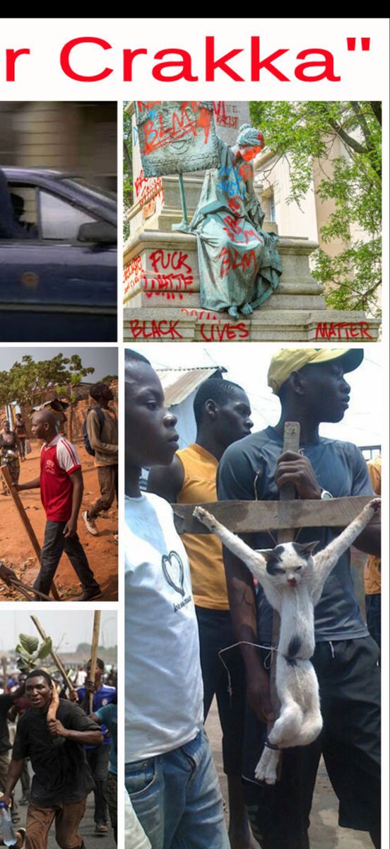 Yamnaya Aryan Indo-European tweet media