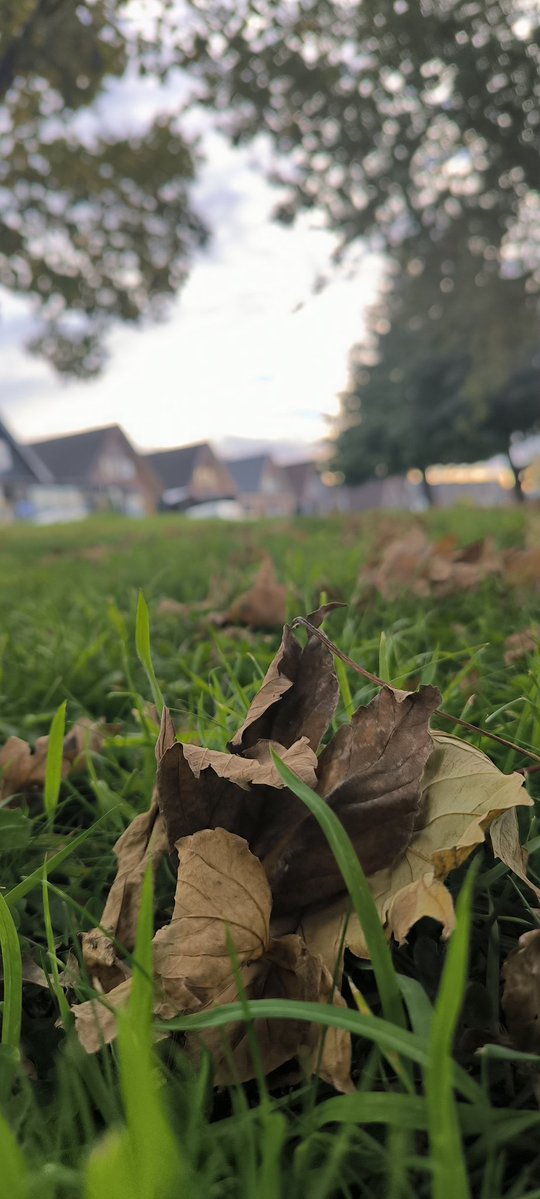 Gabriela Fernández tweet media