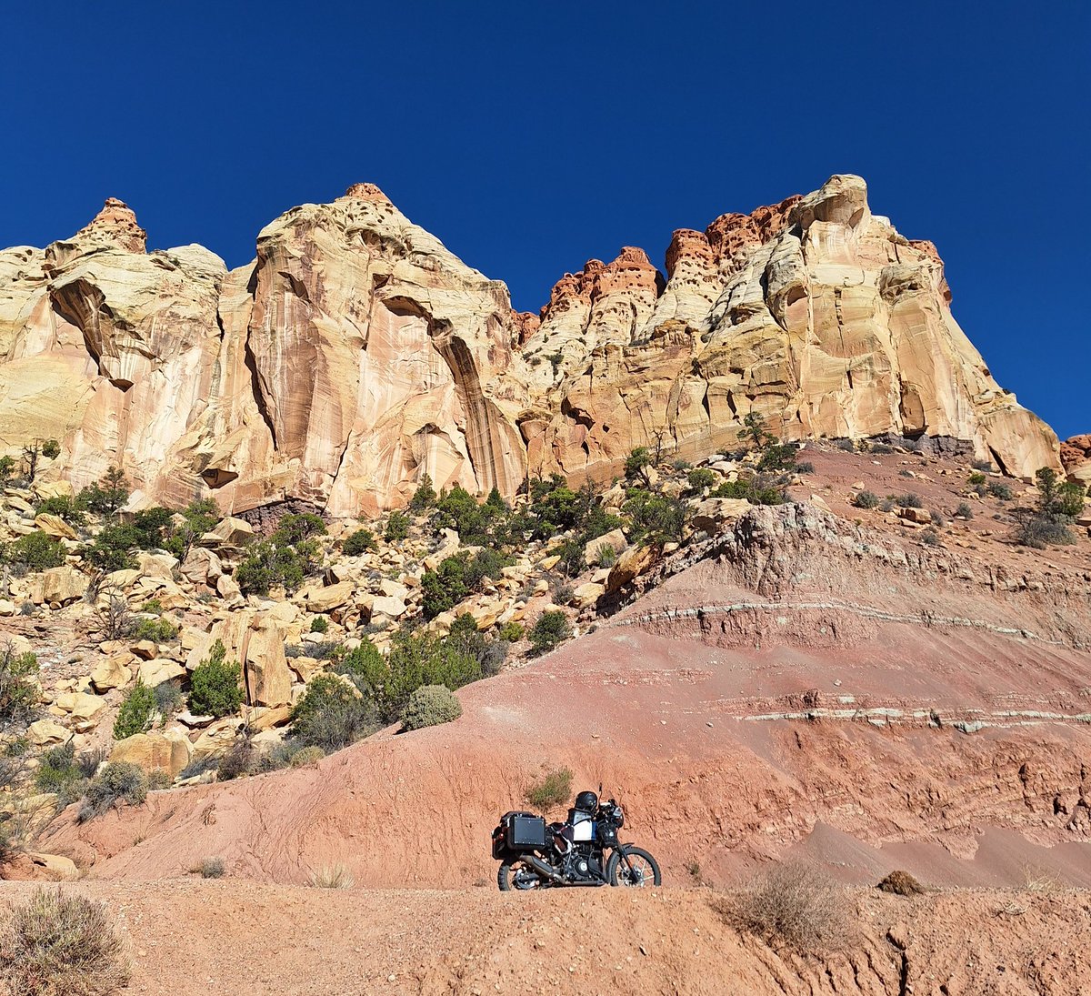 Psychedelic Relic 🇺🇸 🇺🇸 🇺🇸 tweet media