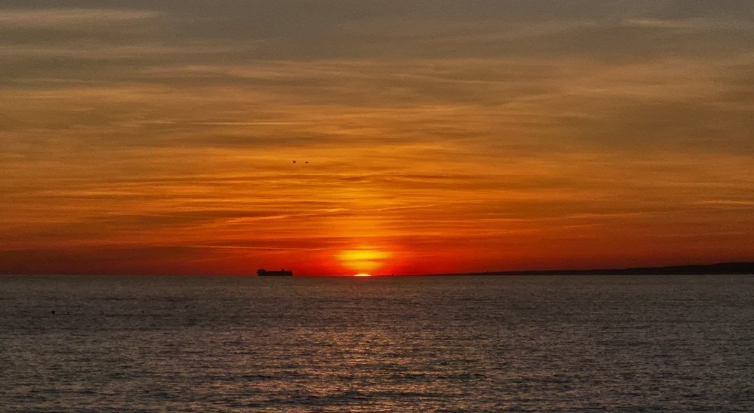 titi 🧡🌑 tweet media