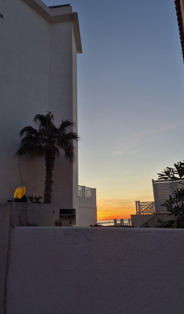 titi 🧡🌑 tweet media