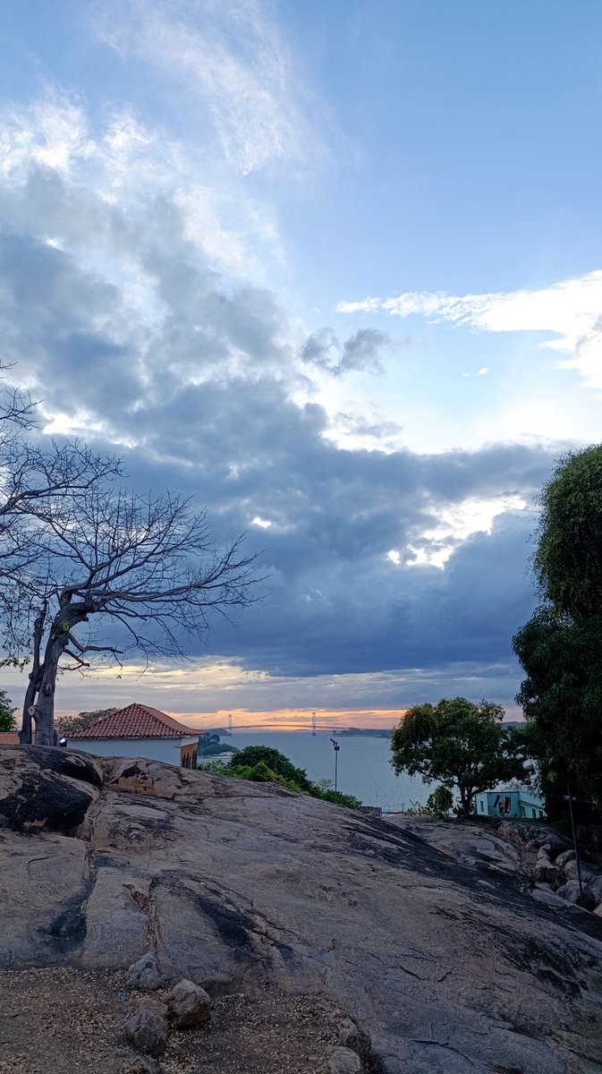 @𝖉𝖗_𝖇𝖔𝖑𝖎𝖛𝖆𝖗𝖊𝖓𝖘𝖊 tweet media