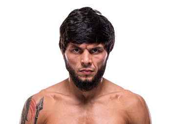 RX_MMA_06's tweet photo. Cheating is cool now #UFCVegas115 https://t.co/GabjBasySt