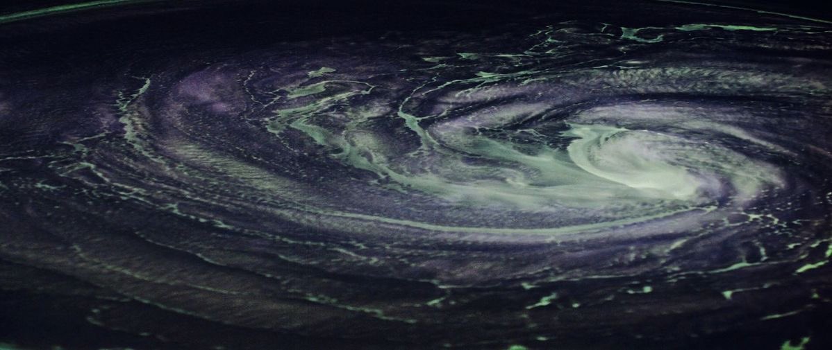 brandon 💫 tweet media