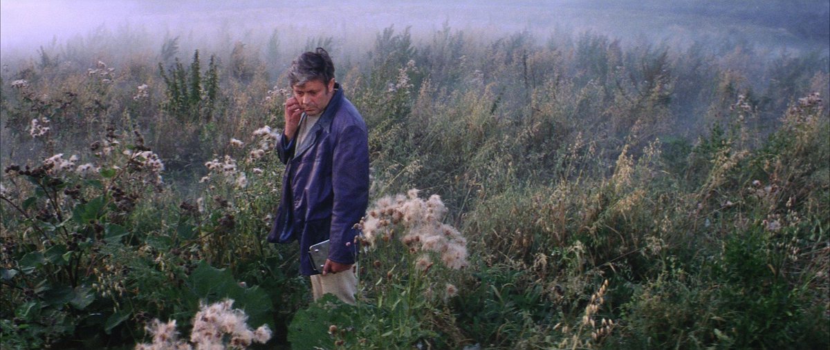 brandon 💫 tweet media