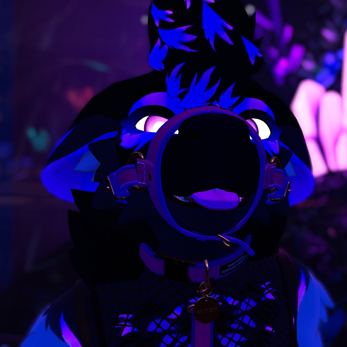 buttmutt🔞 tweet media