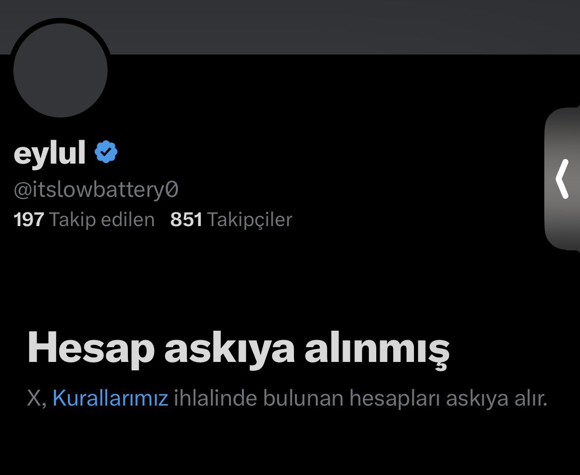 eylul 🐥 tweet media