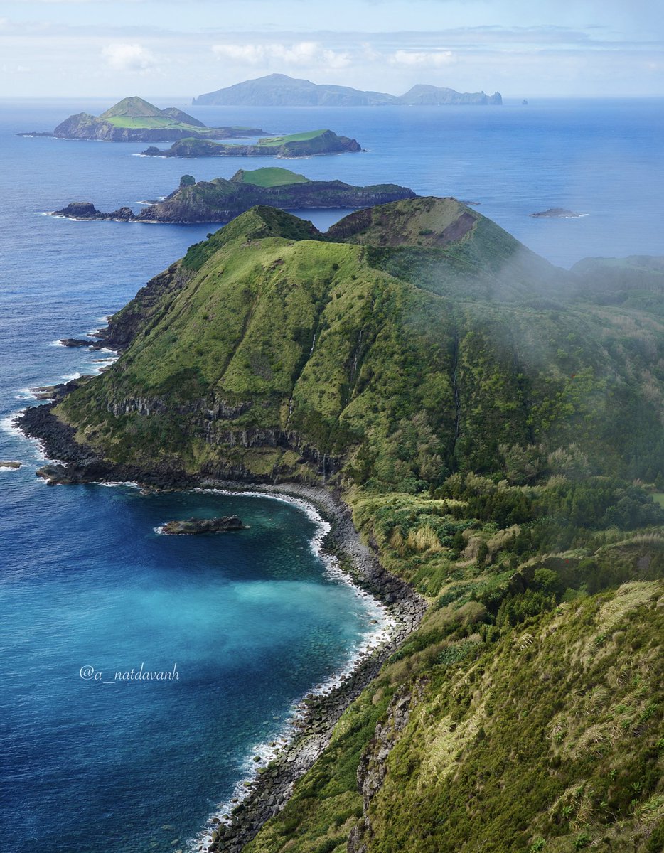 natdavanh tweet media