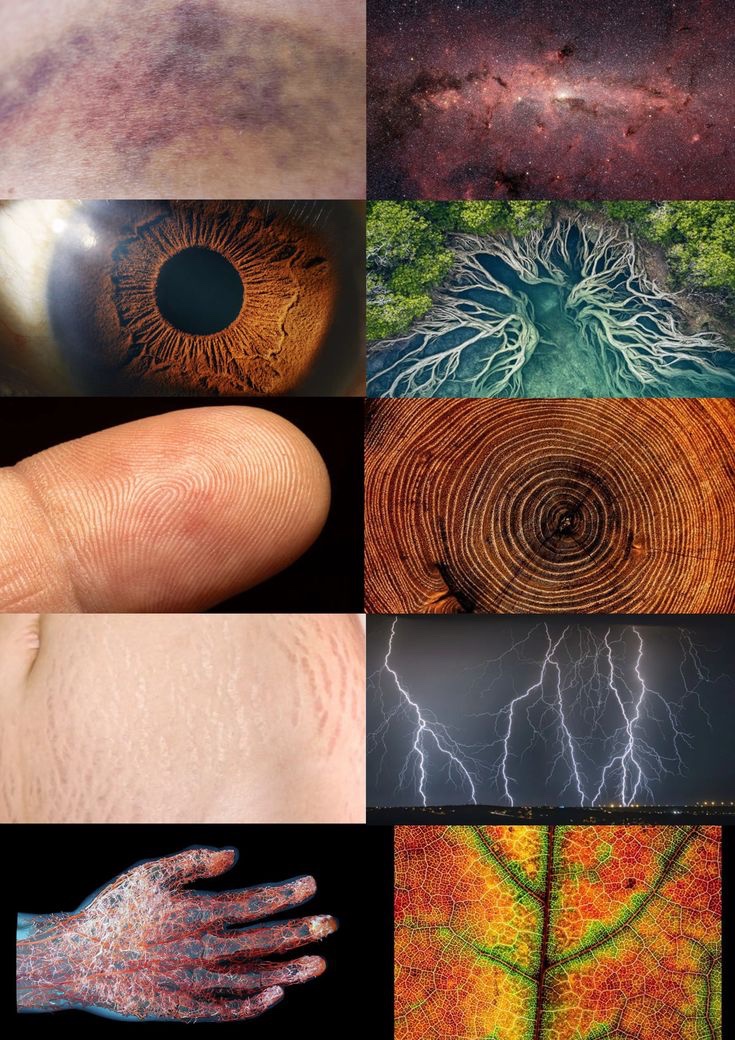 Cauteloso tweet media