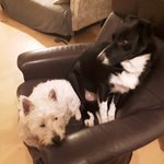 Photo by Charlie and Bella 🧀 (@Charliejam1)