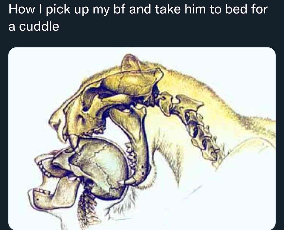 Sleepy| Add NieR & Jake/Sherry to DBD tweet media