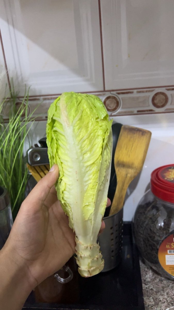 عبدالله tweet media