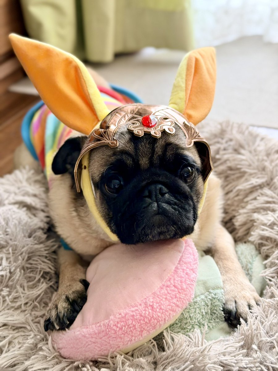 Toshio Murouchi (インドア) tweet media