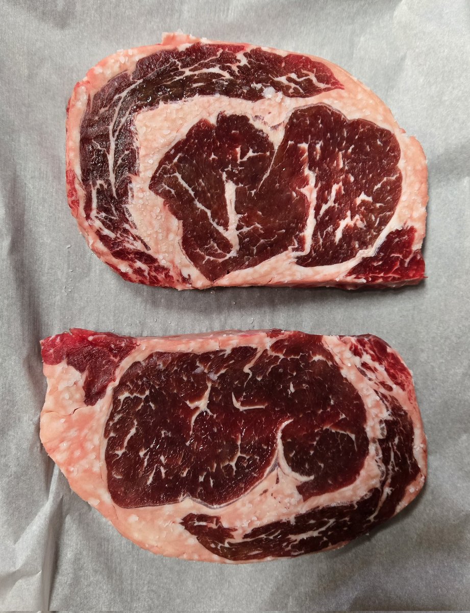 2A Patriot 🇺🇲 🌎 ☄️ tweet media