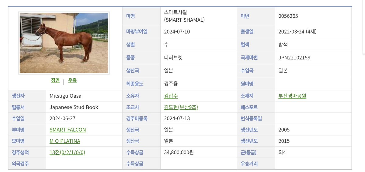 가나시스(ガナシス) tweet media