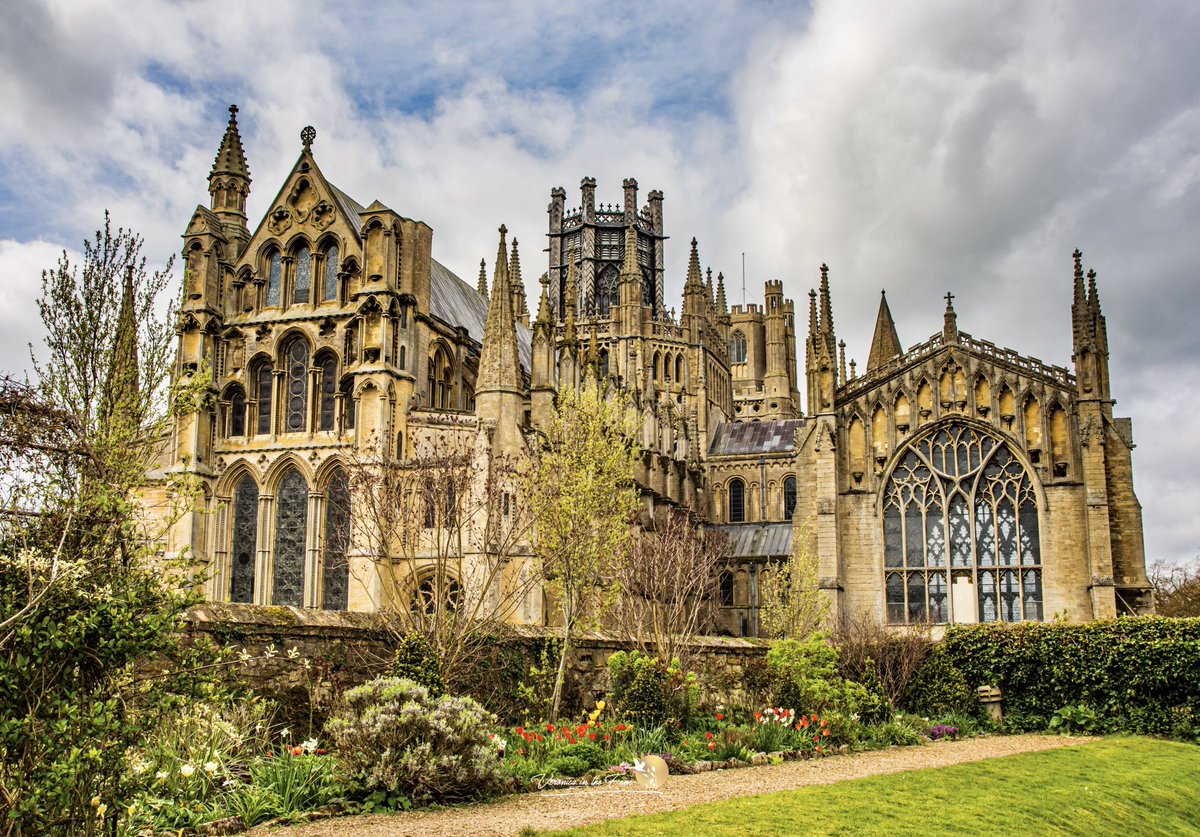 Veronica in the Fens 🧚🏼‍♀️ My Heart in Nature tweet media