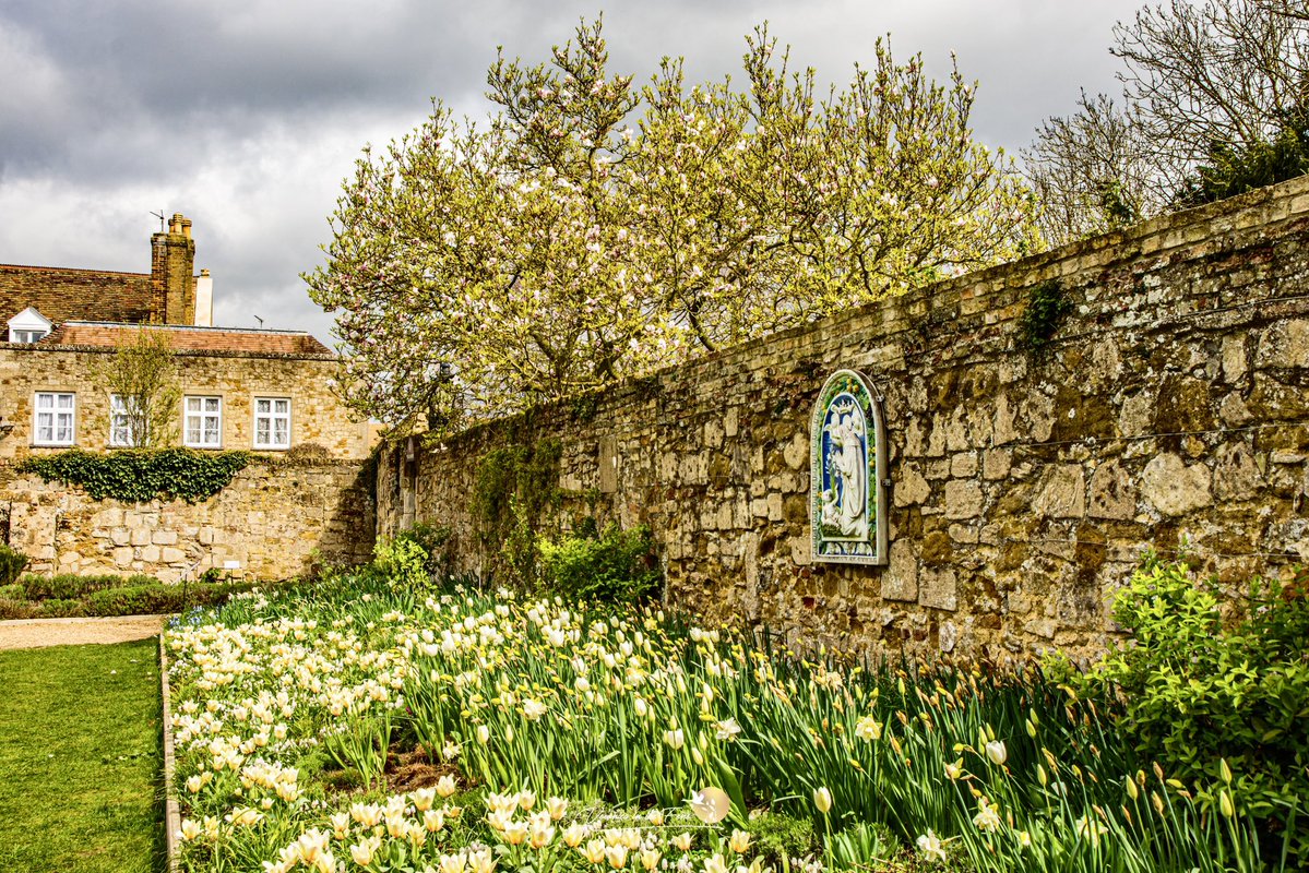 Veronica in the Fens 🧚🏼‍♀️ My Heart in Nature tweet media